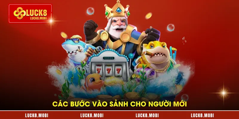 Các bước vào sảnh cho người mới