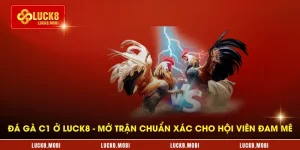 da-ga-c1-o-luck8---mo-tran-chuan-xac-cho-hoi-vien-dam-me