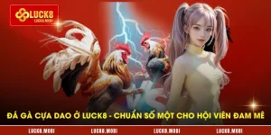 da-ga-cua-dao-o-luck8---chuan-so-mot-cho-hoi-vien-dam-me