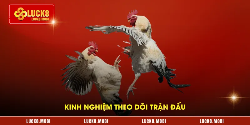 Kinh nghiệm theo dõi trận đấu thomo