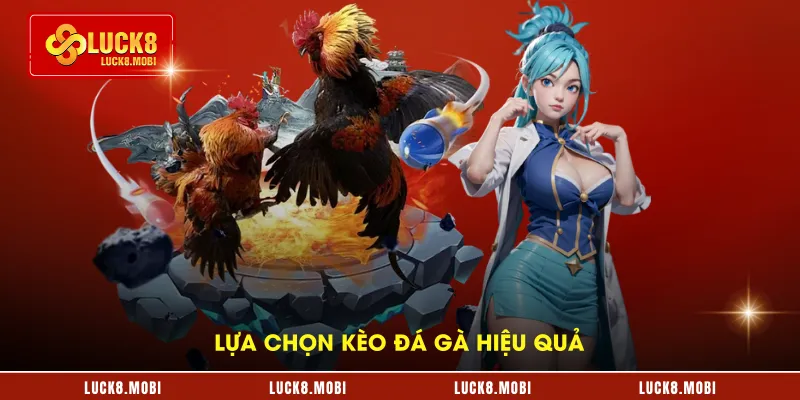 Lựa chọn kèo đá gà hiệu quả