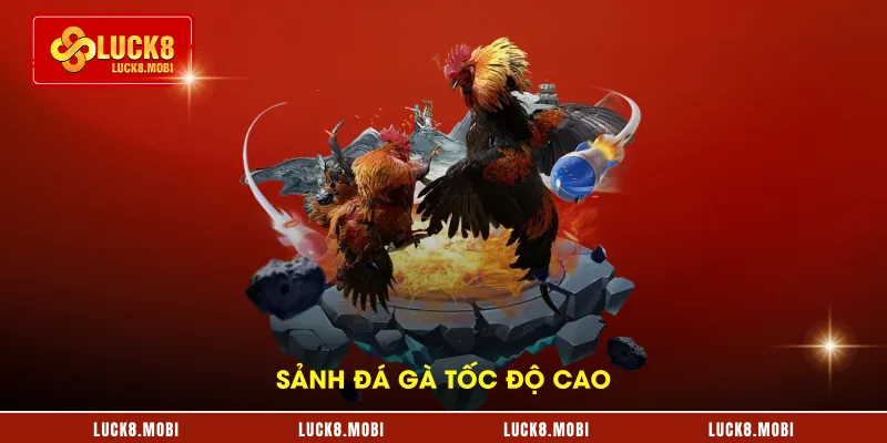 Sảnh đá gà tốc độ cao 