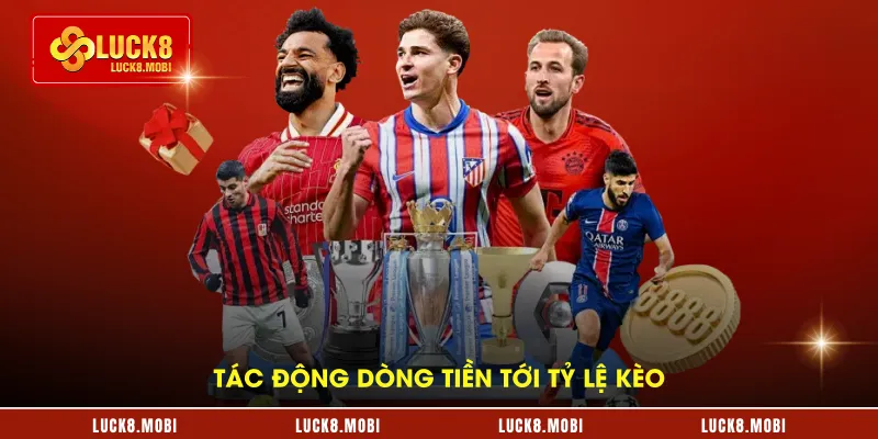 Tác động dòng tiền tới tỷ lệ kèo